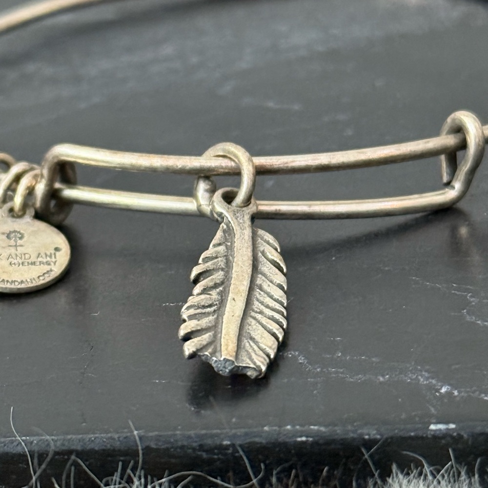 Alex & Ani Charm Bracelets Lot of 8 - 2012 2013 2015 - Picture 7 of 16